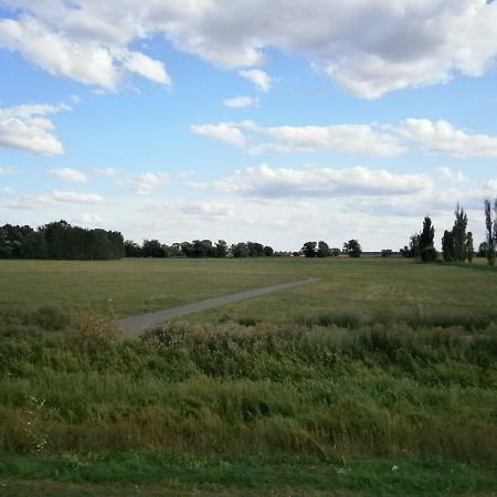 Alles Paletti Mit Klimaanlage Apartment Wittenberg Bagian luar foto