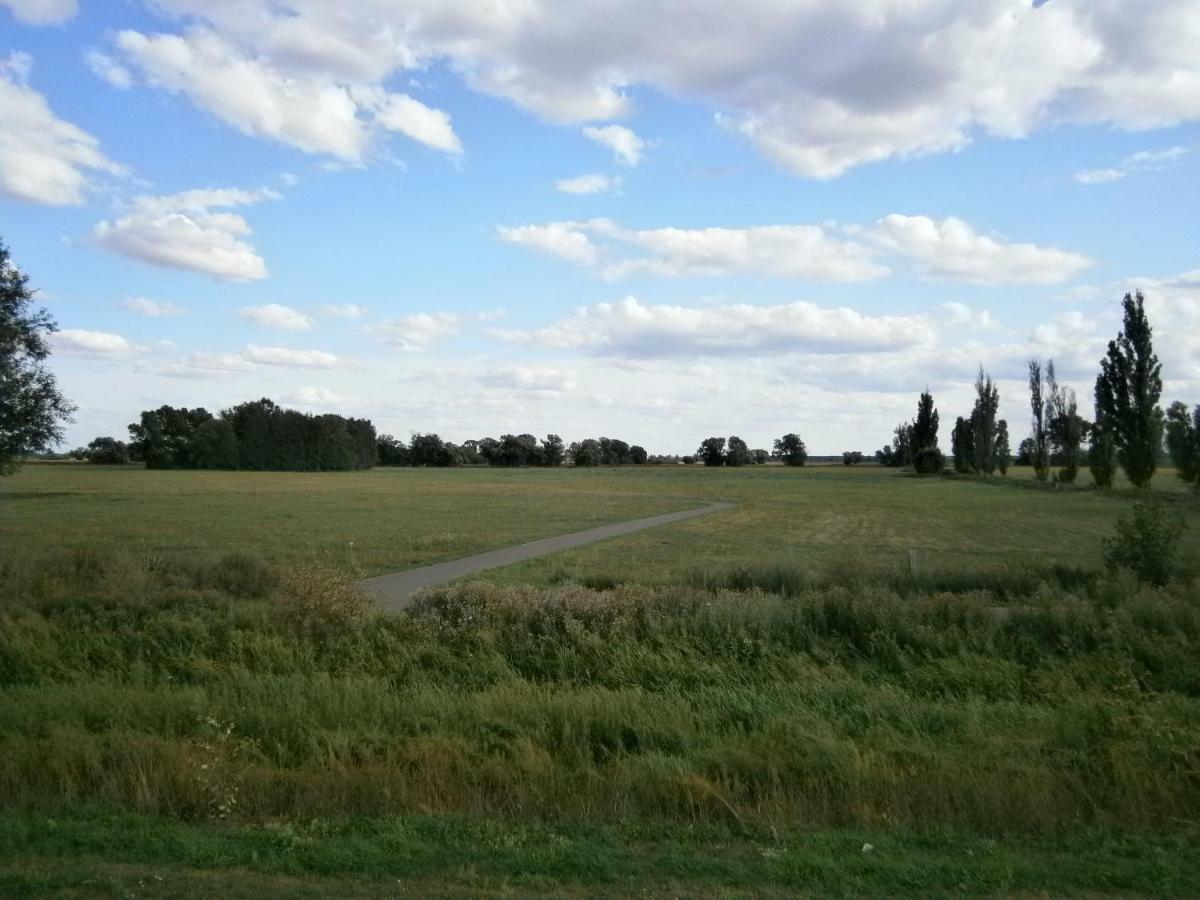 Alles Paletti Mit Klimaanlage Apartment Wittenberg Bagian luar foto